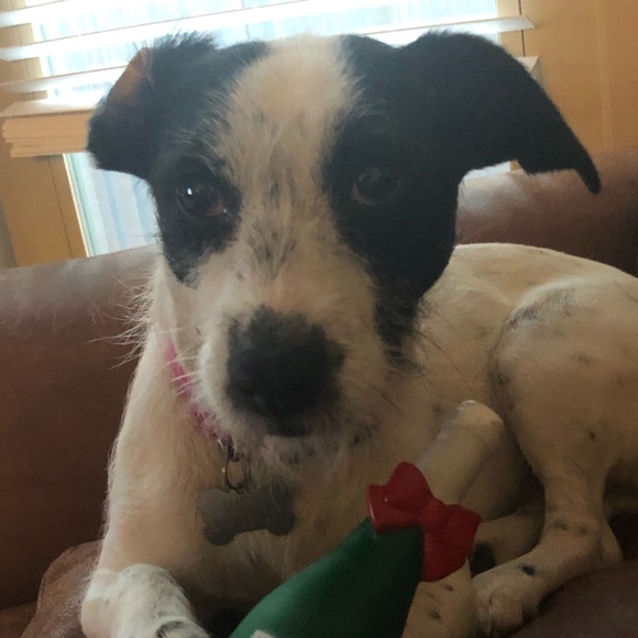 Meet your Posher, Emily - Picture 1 of 1